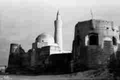 ���� ������ ��� ��� ����